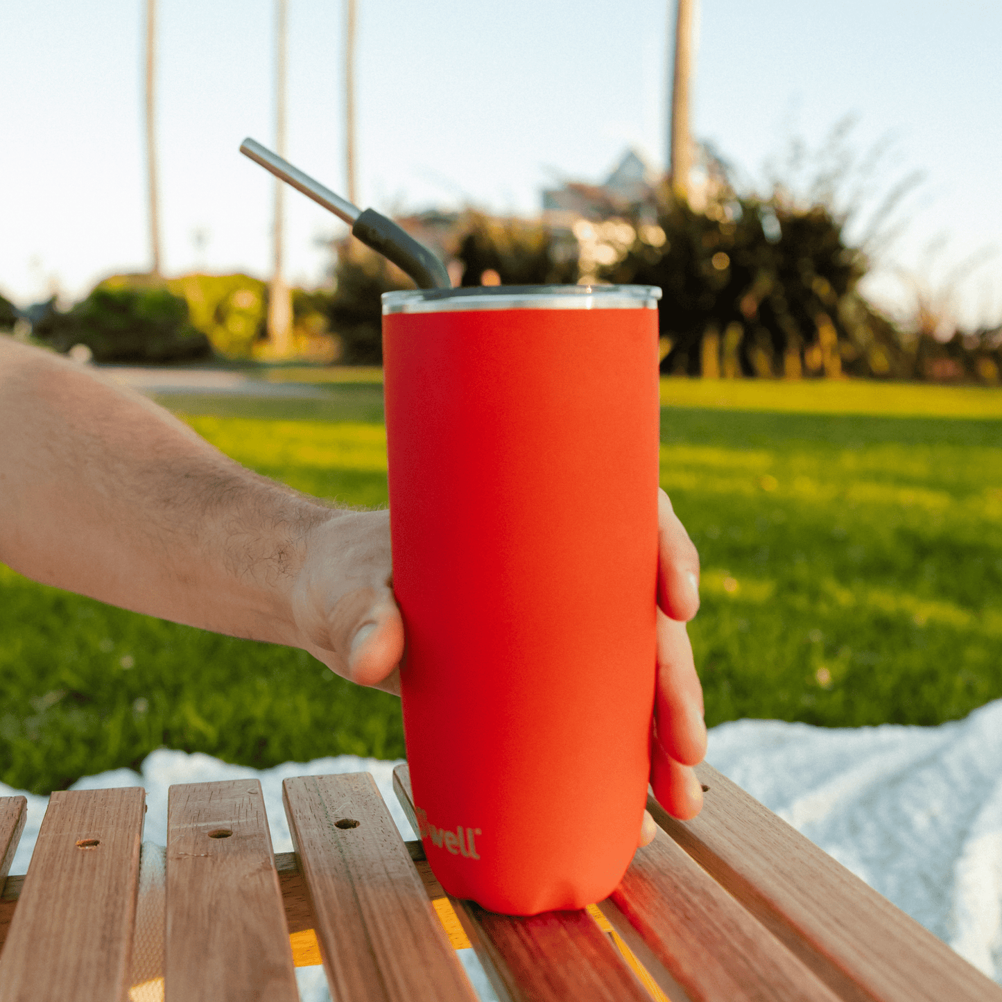Tumbler with Straw | 24oz
